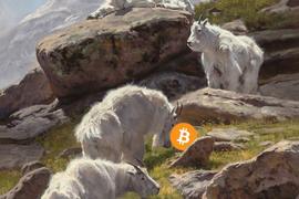BTC:今天会是比特币本月最后一大跌了吗？_nbtc币新消息