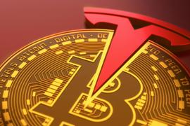 PAY:特斯拉关闭“比特币支付”只是时间问题，支付C位仍是美元稳定币_比特币最新价格行情价格美元