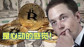 比特币:视频 | 8年来，比特币跑赢了多少全球主流资产？_DAILY