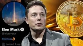 比特币价格:炒币一月胜过全年卖车，马斯克带货的比特币还能疯狂多久？_NFT