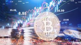ANC:Glassnode链上周报：比特币巨鲸2月共“减持”14万枚BTC_以太坊硬币模版