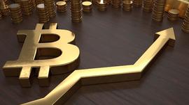 DAILY:威廉:比特币五万美金只是开始_DAI