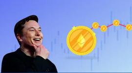 PLE:特斯拉真的需要以太坊_ripple币可以在中国交易吗