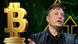 ELS:“末日博士”鲁比尼炮轰马斯克操纵比特币价格，呼吁监管机构调查_celsius币官网