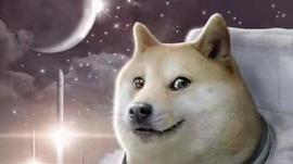 马斯克:马斯克一个推特简介，为币圈送来了千万新生力量，大人时代变了_BTC