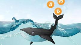 加密巨鲸「0x_b1」：收益最好时我们每小时入账7.5-15万美元