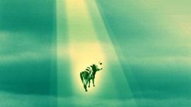 HASH:比特币算法进化为Schnorr签名算法是进步吗？| 考仔星选_Decentralized Hash Mining
