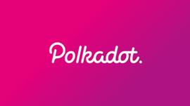 PLE:一文了解波卡生态在2020年的发展_Polkadot