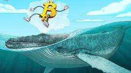 Quant:分析师：鲸鱼流入交易所的比特币数量激增，比特币可能出现大幅修正_CAKECRYPT价格