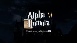 ORA:Alpha Homora：LP Token收益最大化，杠杆挖矿+代币化流通_MORA