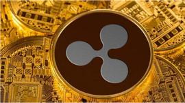 ZEC:从灰度持仓变化中，我们看到了这个投资机会_btc交易平台