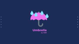APO:3分钟了解红薯保险协议Umbrella Protocol_POO