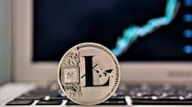 VITA:比特金莱特银，辣条今年会到100刀？_YFTether