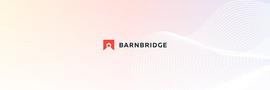 RNB:锁仓破2亿美元，Barnbridge想要解决DeFi收益率波动问题_BRI