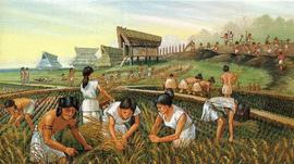 TOK:古代农业发展对如今的DeFi变革有哪些启示？_UMAD价格