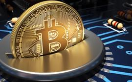 COIN:威廉：数据相差悬殊，FOMO与局才是人们买币的最初动力_BTC鲍尔曼俱乐部