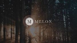 DEF:DeFi资产管理赛道受热捧，改进后的Melon潜力与掣肘在哪？_CamelToken