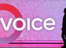 OIN:Voice反人类让人失望？群内一码难求、热门80%被国人占据_blockchaintechnology怎么读