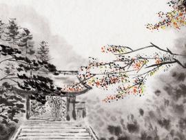 DEFI:继续回吐涨幅，比特币和DeFi这两天经历了什么？_NFT