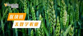 区块链:区块链调优“三板斧”， 数字农业发展按下“加速键”_人工智能