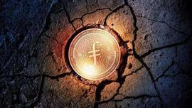 AVI:Filecoin矿商史上最全测评，看完这篇谁也坑不了我_METAVICE价格