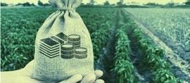 EFI:DeFi第二浪：海外投资者FOMO情绪高涨？_CRYPT