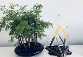TAU:EOS两周年：柚子向下发展的三大迹象_Pitquidity Capital