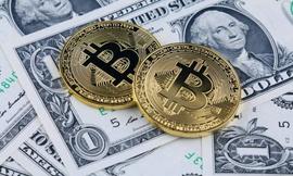 比特币:量化宽松（QE）会推动投资者转向比特币吗?_BTC