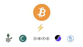 QUID:比特币如何扩容？读懂比特币链下扩容技术进展与投资现状_LIQ