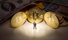 FOM:FOMO效应如何影响比特币？_比特币价格今日行情多少钱一个