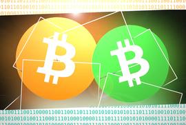 COMP:OKEx投研：BCH、BSV、BTC减半，将会带来什么影响？_比特币价格