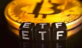 ETF:威廉：为什么我们期待比特币的ETF？_买比特币违法吗