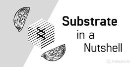 区块链:Substrate极简概括_Substratum