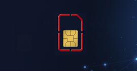COIN:口袋里的敌人：SIM卡攻击_IME