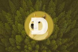 稳定币:Meme为什么对加密货币的成功至关重要？_数码港元是稳定币吗