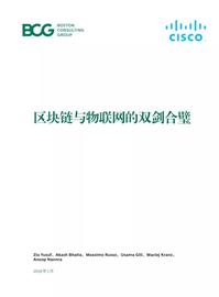 BCG:BCG报告：区块链与物联网的双剑合璧_DEA