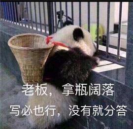 比特币:这次四川征服世界的不是大熊猫，而是挖矿_央行为何急于搞数字货币
