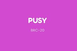 以太坊:BRC20 Meme季来袭，了解下XEN创始人力推的PUSY_MEM