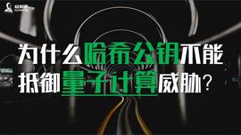 ECD:为什么哈希公钥不能抵御量子计算威胁？_加密货币局女人套路