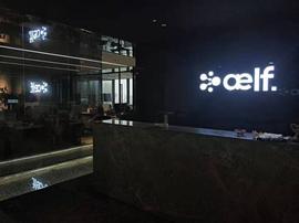 DAILY:aelf 员工：解散社群是老板指令，老板社交媒体停更或是个人原因_ShibaElonVerse