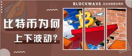 ONS:深入灵魂的发问：比特币价格为何总是上下波动？_买比特币