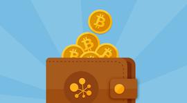 BTC:行情日报：资金盘项目大揭秘_TOK