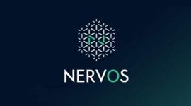 VOS:Nervos 测试网挖矿赛上线，奖金池900万CKB，一文解答矿工们的所有疑惑_比特币sv发行多少枚