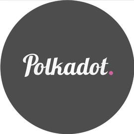 LED:如何把握Polkadot生态投资机会_ledger钱包什么时候发货