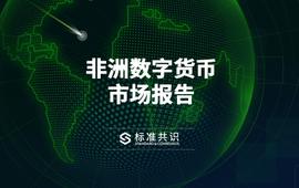 COIN:非洲数字货币市场报告_Unmanned Aerial Vehicle Coin