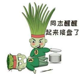 TOKE:，资金盘，旁氏，空气站台 | plus token 简直是币圈的四大皆空_IRISTOKEN币