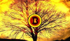Bitstamp:看市 | BTC暴跌Bitstamp现巨大价差，市场猜测为空头主力所在_bitsg币星