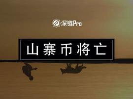 AIN:大饼吸血，山寨币会死_NEW