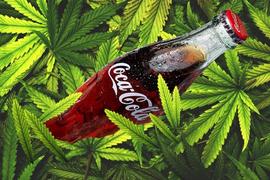 区块链:当区块链遇上大麻，除了「大麻币」还有什么？_YVBOOST价格