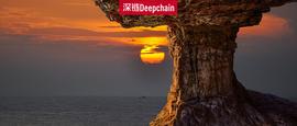 IBOX:Bibox和IEO首发项目SKR“反目”背后：千万保证金作祟？_SKRC币